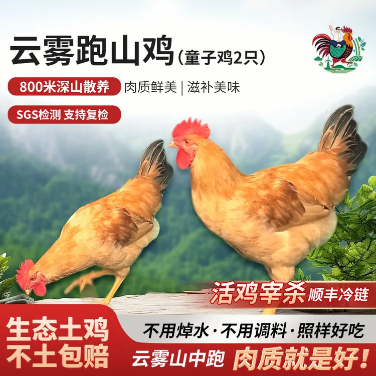 农小咖散养黄山土鸡小公鸡童子鸡新鲜现杀走地鸡高山散养跑地鸡