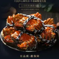 【活蟹】江苏大闸蟹 母2.7-2.4两 买8只送2只 母蟹 顺丰包邮 