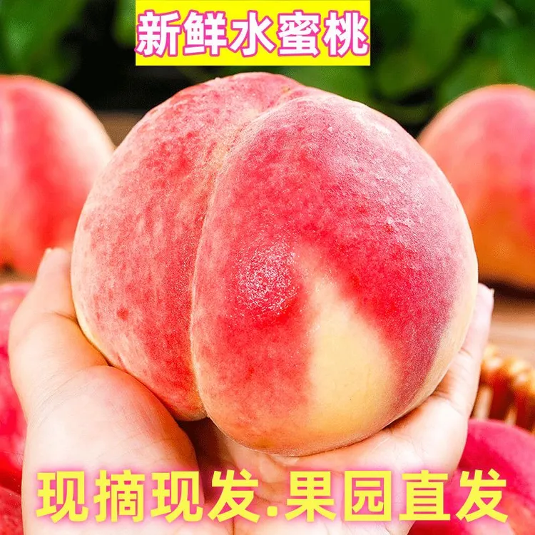 砀山突围蜜桃新鲜应季水蜜桃整箱售卖软甜多汁产地直发现摘现发多