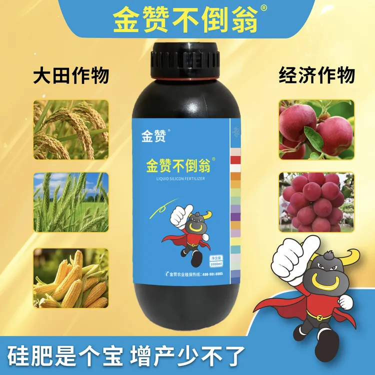 【金赞农选】液体硅肥金赞不倒翁小麦抗倒伏促分糵茎杆粗壮蔬菜果树