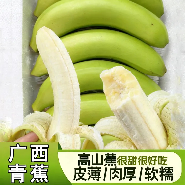 【催熟吃】正宗广西高山香蕉青皮蕉现摘现发软糯香甜自然熟新鲜水果