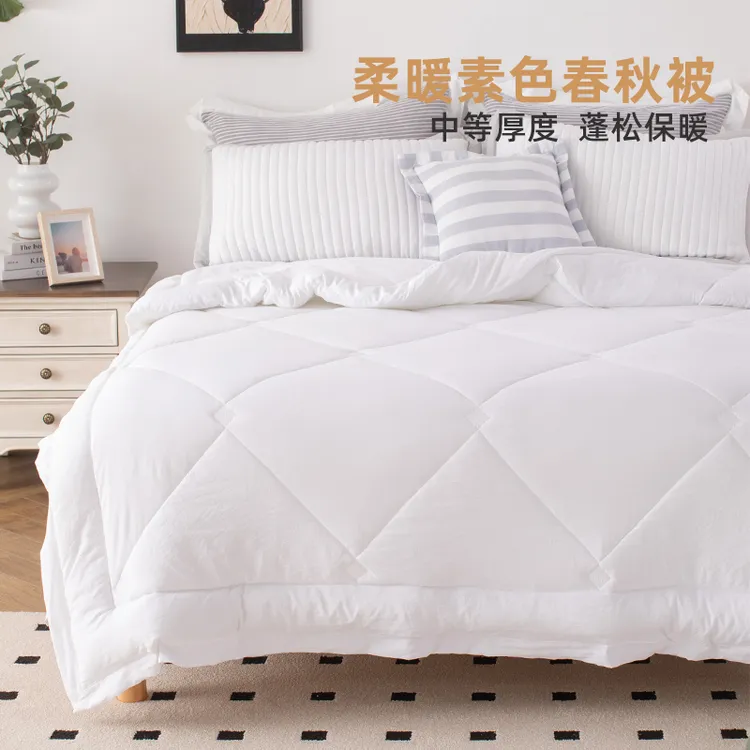 学生飞边被 秋被绗缝蓬松水洗磨毛商务简约加厚单人韩式二用