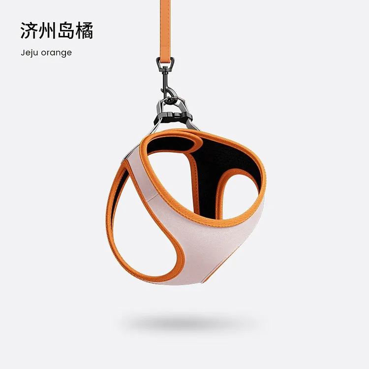 狗狗牵引绳小型犬 胸背带遛狗绳背心式泰迪狗绳比熊遛狗绳子狗链