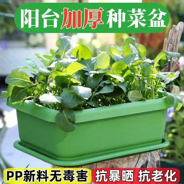 种菜专用盆阳台种菜长盆种菜盆长方形种植盆塑料花盆特大厂家直销