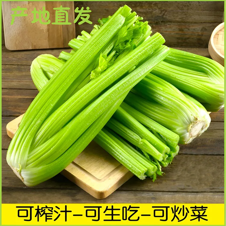【榨汁专用芹菜】山东新鲜榨汁西芹可生吃水果芹菜顺丰包邮爆汁西芹