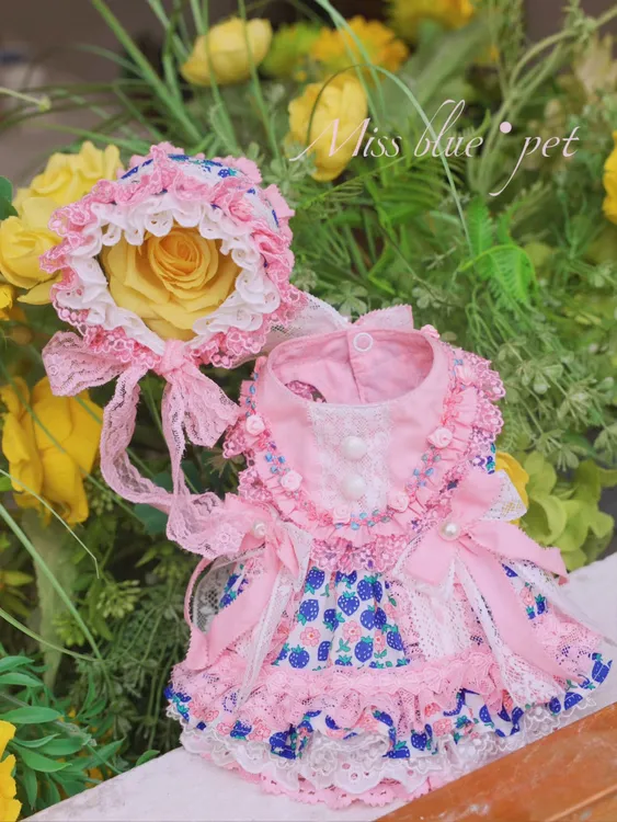 法式风情de西雅图 特别的莓果色 宠物定制服饰no退no换