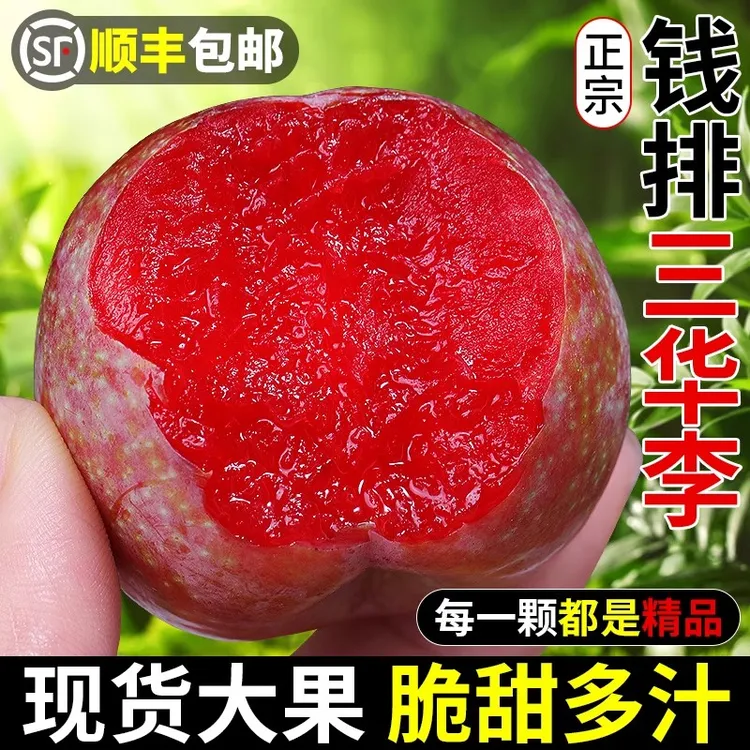 正宗钱排三华李新鲜李子当季现摘红心三月李子芙蓉李孕妇水果顺丰