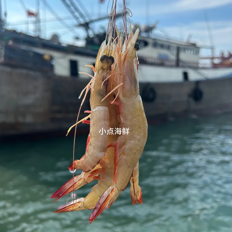 北海天然野生海捕明虾白对虾新鲜液氮急速锁鲜特大号