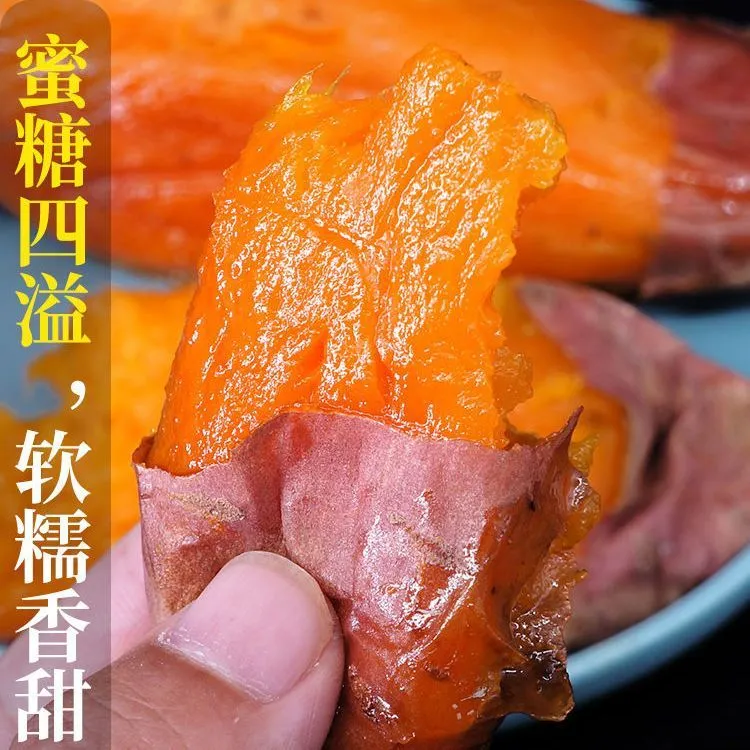 正宗烟薯25号新鲜沙地现挖红薯红糖心蜜薯番薯当季A