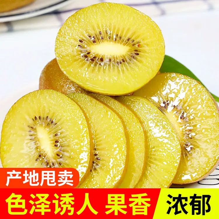 贵州省思南县许家坝黄心猕猴桃新鲜水果香甜多汁现采现发