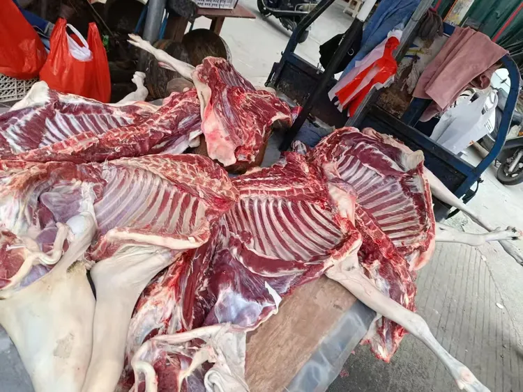 鲜羊肉冬日滋补羊肉