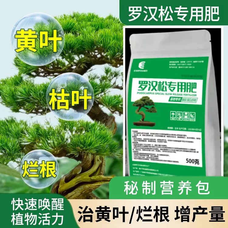 旺景罗汉松基地专用肥原料不烧根促生根防黄叶商品图