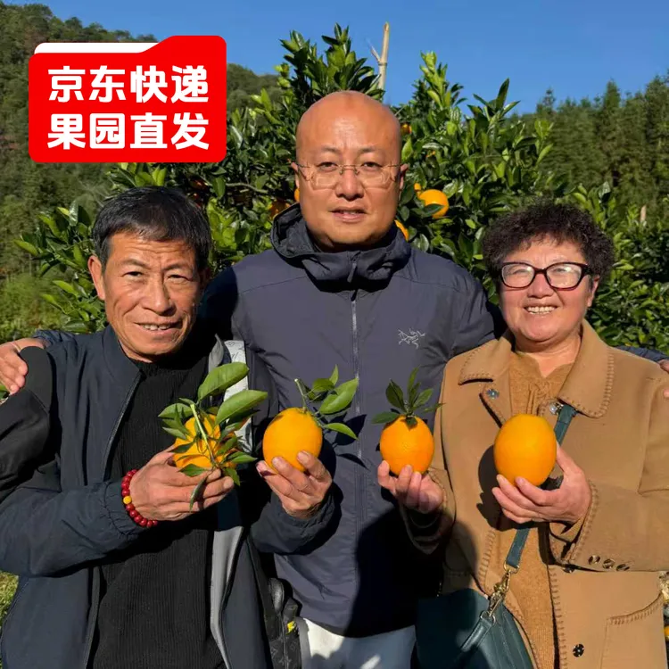 【贤鹏专属】【京东快递】正宗江西新鲜赣南脐橙4.5/9斤产地直发送开果器【ZY】