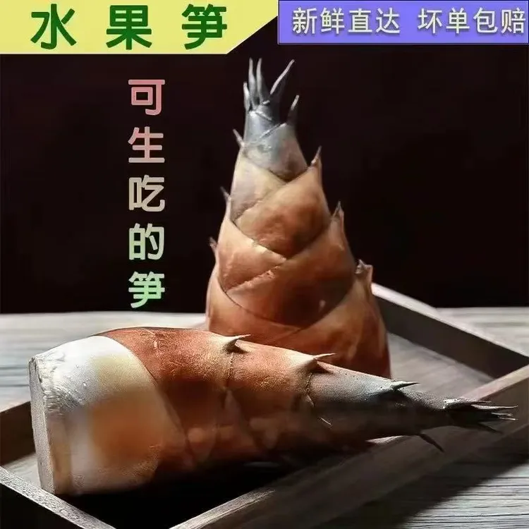 瑜山和桥新鲜甜龙笋现挖现发涪陵嫩竹笋火锅食材