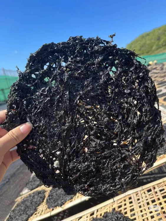 南澳头水绿紫菜免洗无沙新鲜爽口煮汤炒饭包饺子家用自晒干货美味