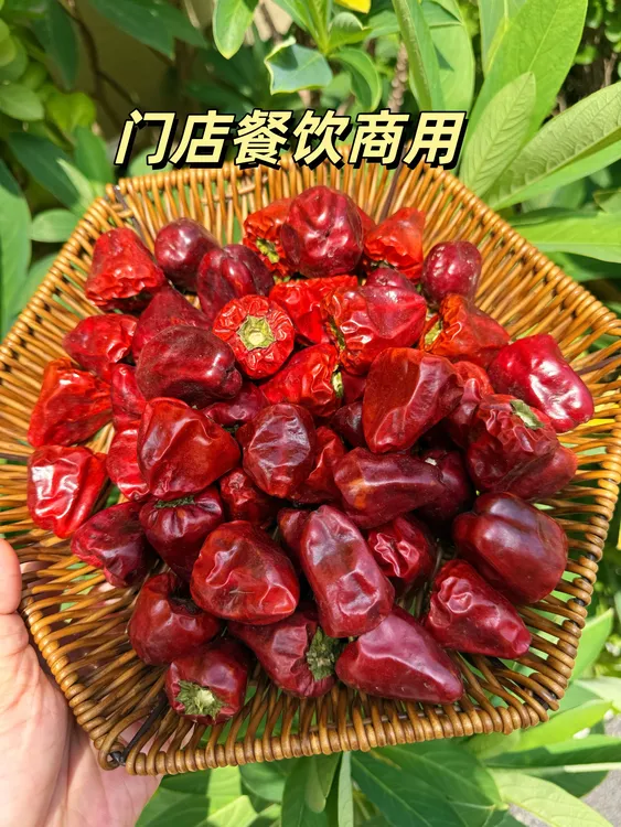 灯笼椒农产品中辣干辣椒灯笼椒红干辣椒香辣辣椒
