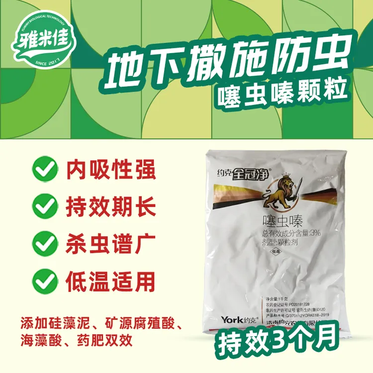 噻虫嗪颗粒地下虫害防治全冠净杀虫剂农药长效防虫稻飞虱潜叶蛾