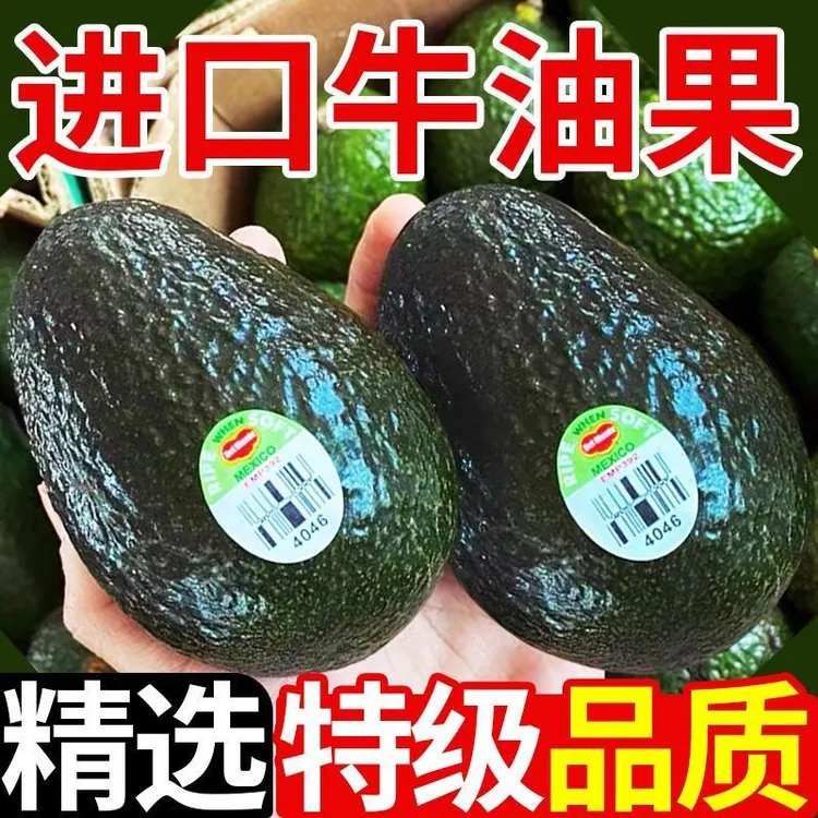 秘鲁哈斯进口牛油果新鲜水果当季即食适合宝宝辅食