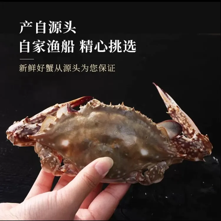 【保鲜不保活】舟山梭子蟹 3斤装单只3-5两/只白蟹 飞蟹充氧发货。