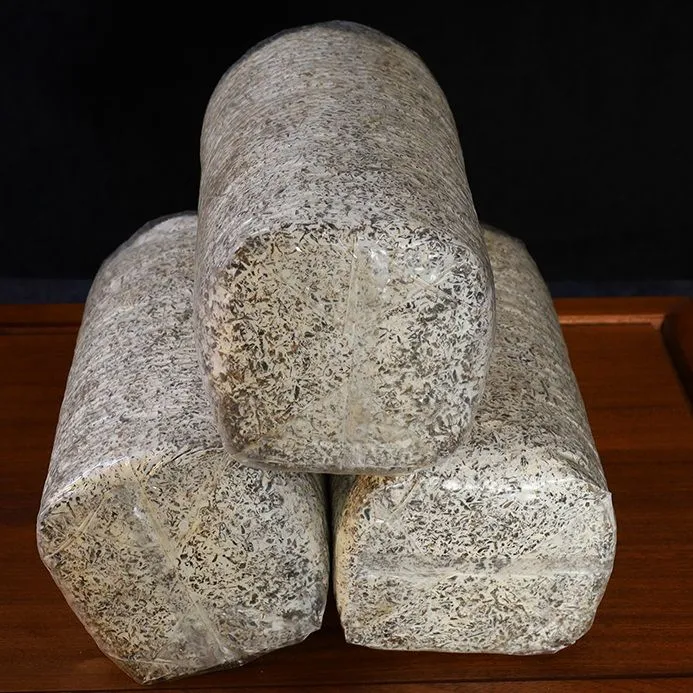 乌枞菌原种黄枞菌原种 高产菌种懒人种植家庭阳台菌种包人工种植