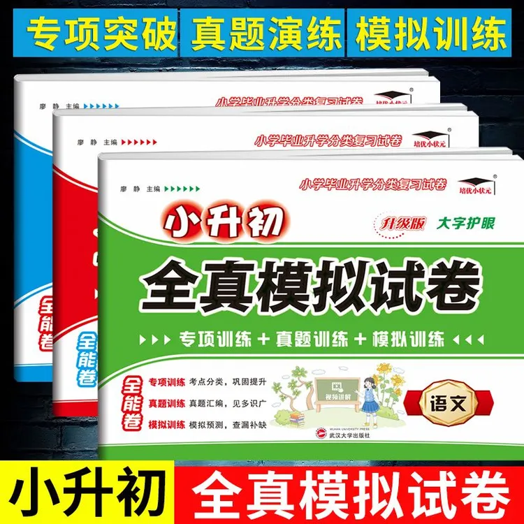 2026小升初试卷六年级下册毕业总复习语数英模拟卷小升初真题卷子