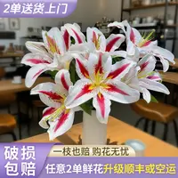 【源头优选】笑脸香水百合云南直发鲜花家居水养插花鲜切花