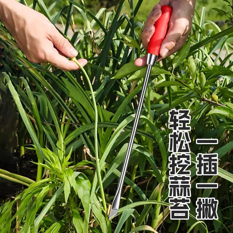 蒜苔收割刀抽蒜苔打蒜苔剥蒜苔划蒜苔神器拔蒜苔刮蒜苔工具便捷