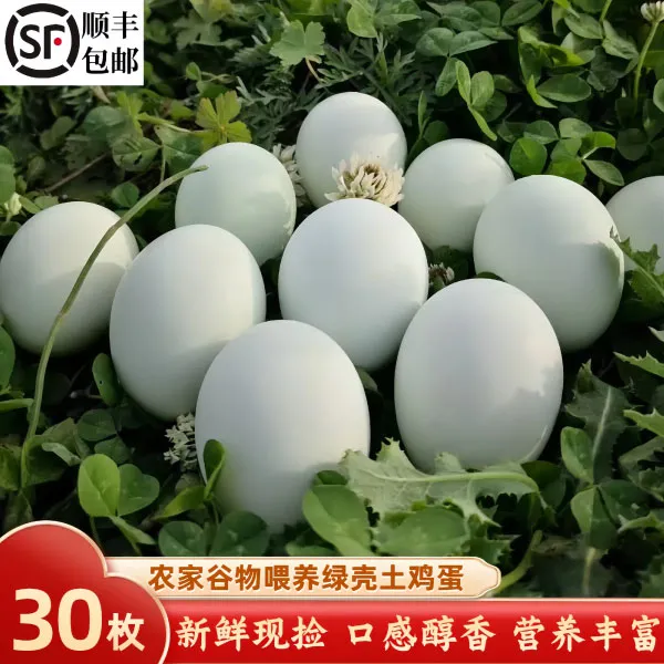 正宗农家散养绿壳鸡蛋营养丰富适合家庭食用