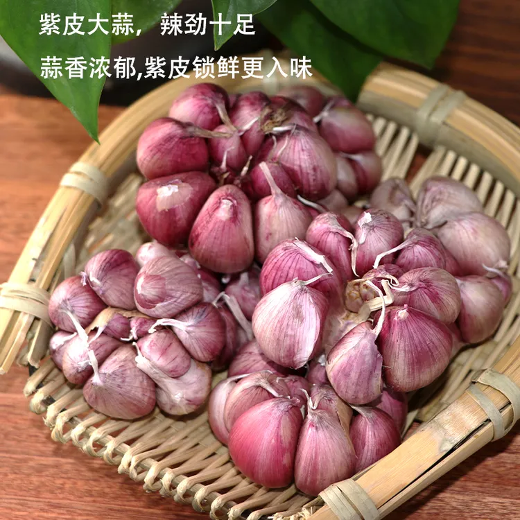 云南新鲜大蒜多瓣紫皮大蒜头农家自种当季新鲜成品大蒜