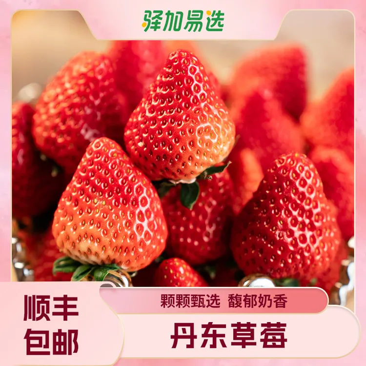 【丹东九九草莓】新鲜采摘，鲜甜清爽，庄园直发，顺丰速达