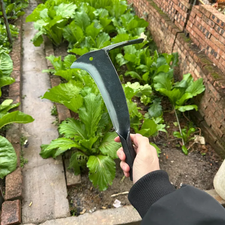 [鸟刀]手工新款高碳钢锰钢锻打户外砍树柴刀砍柴两用凤凰弯刀