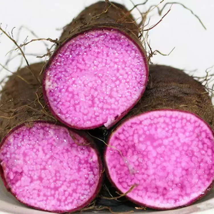 云南现挖新鲜紫玉淮山基地直发富含花青素蔬菜火锅健康食材