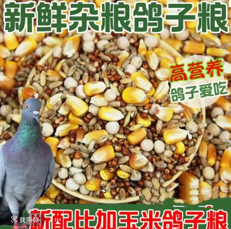 鸽粮杂粮新鲜食品粮