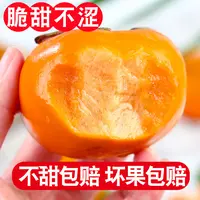 正宗山西阳丰巧克力脆甜柿子糖心新鲜水果4.5-5斤包邮产地直发