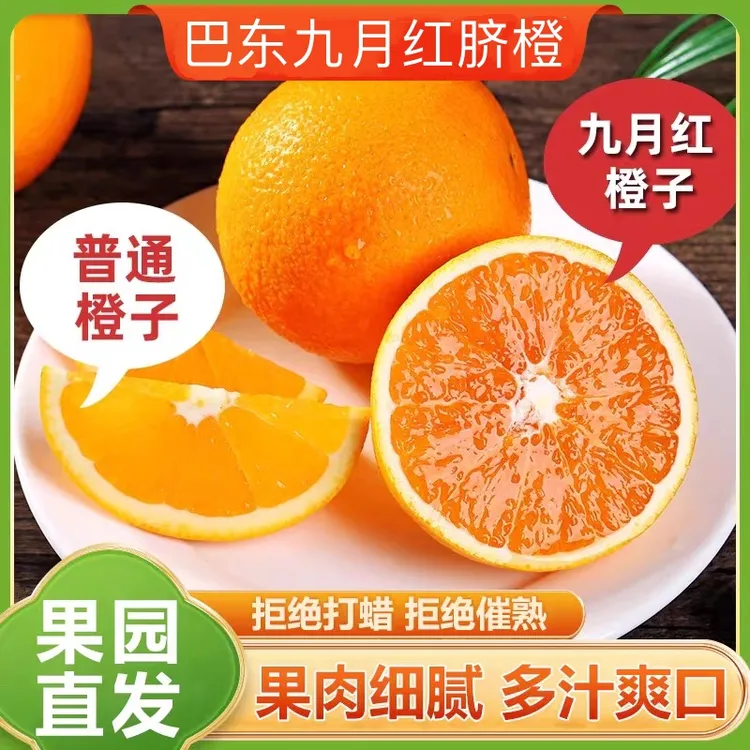 湖北巴东九月红脐橙秭归上游果园直发水果三峡当季多汁果冻橙