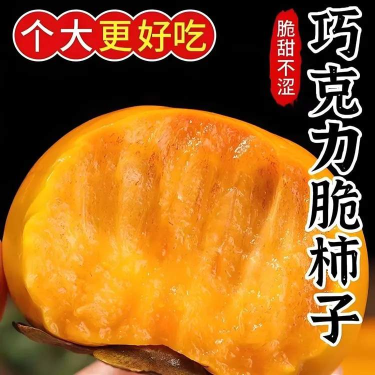 山西运城阳丰甜脆柿现摘新鲜水果清甜可口脆甜不涩
