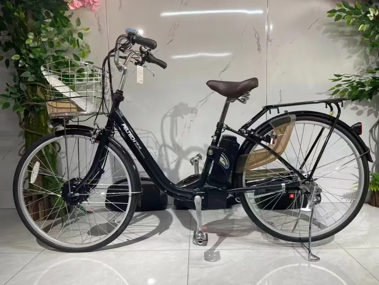 派克26寸内三速辅助骑行自行车