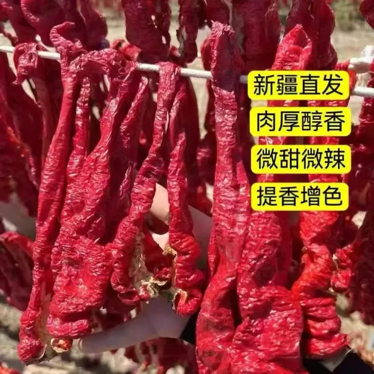 特产新疆焉耆厚肉辣皮子新鲜辣椒大红竹薯板栗辣皮子新疆鸭翅中