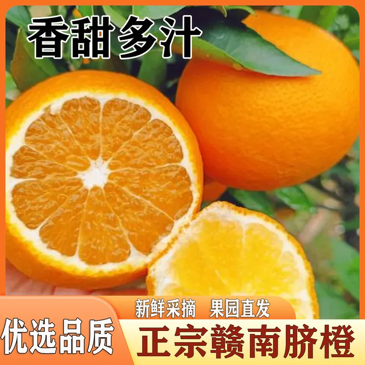 现摘正宗赣南多汁脐橙新鲜橙子皮薄香甜爆汁手剥橙原产地直发包邮