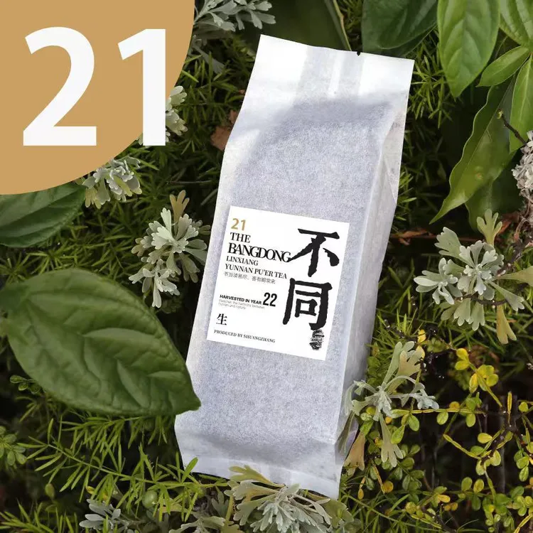 21「不同」生茶2022年 邦东乡·邦东村 我到茶山去严选普洱茶