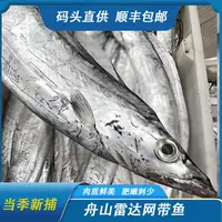【大带】舟山小眼睛带鱼 纯野生东海带鱼 肉质细嫩 可蒸可煮 顺丰冷链次日达