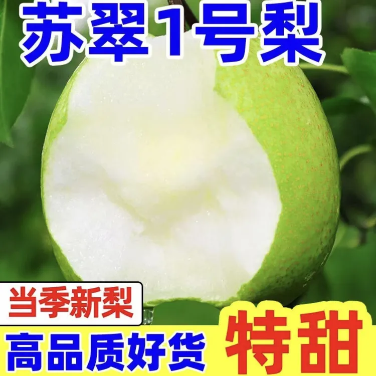 【苏翠1号】正宗青梨现摘现发脆甜多汁无渣皮薄6斤果园新鲜采摘