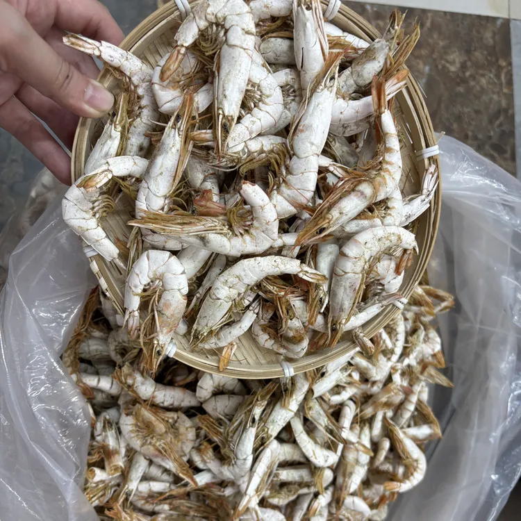 碣石港野生海产干货尖虾