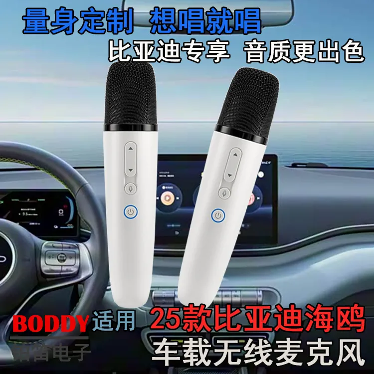 适用比亚迪海鸥K歌无线话筒 比亚迪海鸥无线话筒 车载无线麦克风