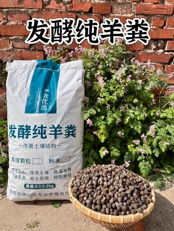 纯羊粪腐熟发酵颗粒肥羊粪蛋子养花种绿植蔬菜果树营养土基肥专用