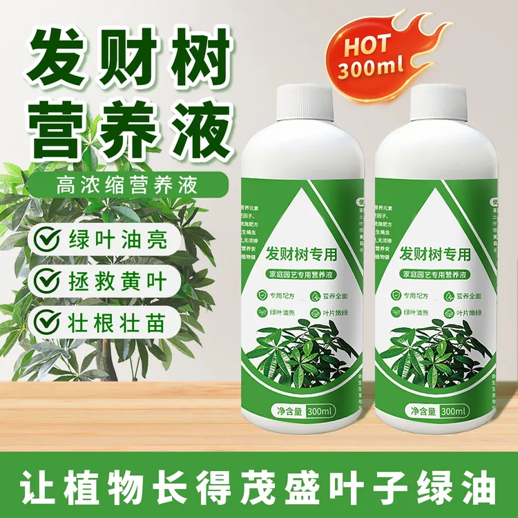 【发财树专用】植物营养液高浓缩绿叶促芽防治黄叶掉叶烂根观叶植物