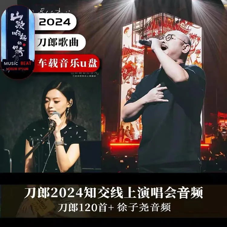 刀郎全新合集山歌寥哉汽车载U盘mp3无损高品质音乐知交演唱会视频