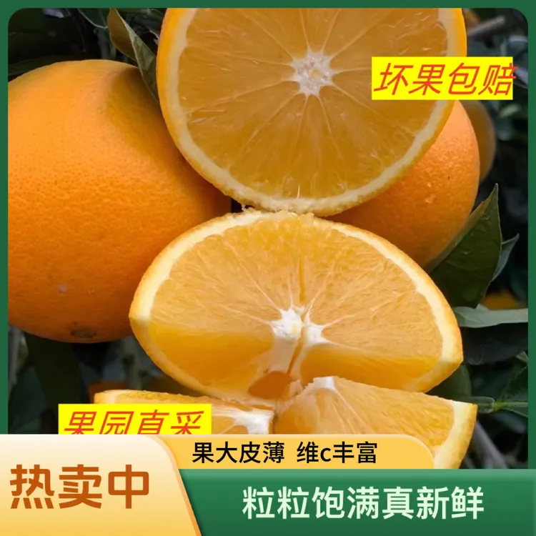 麻阳高山冰糖橙应季水果原产地直发新鲜采摘