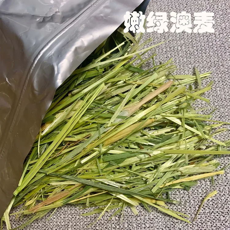 进口嫩绿澳麦兔子豚鼠荷兰猪龙猫专用磨牙干草提摩西草燕麦草