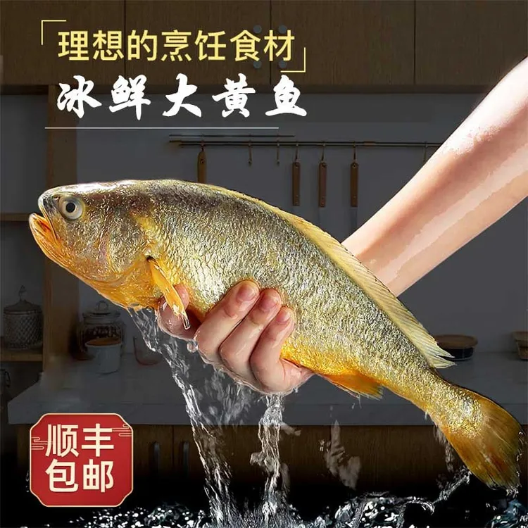 宁德特产大黄鱼400g-500g*5条（没去内脏 ）深海捕捞黄花鱼鲜嫩新鲜